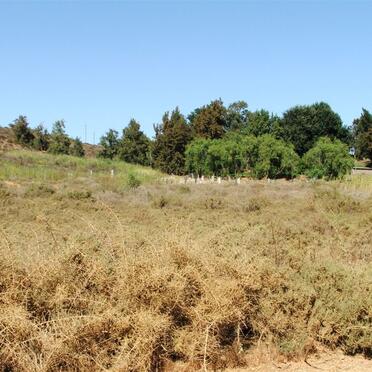3. View on the cemetery from the road