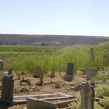 7. Many tombstones are hidden in the shrubs