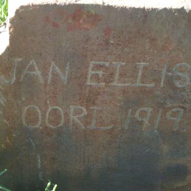 ELLIS Jan -1919