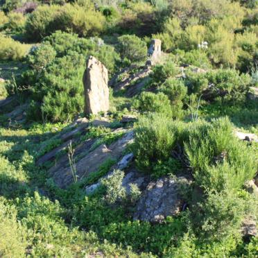 Western Cape, LADISMITH district, Adamskraal 252, farm cemetery