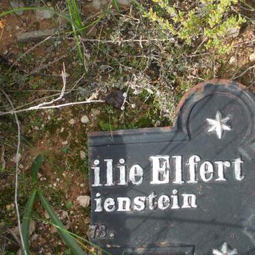 ELFERT Marie Augusta Emilie 1873-1873