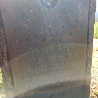 TOIT Sarah W., du nee BREYTENBACH 1897-1942