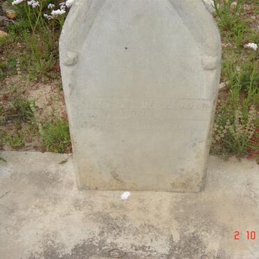 STASSEN Frans Johannes Nicolaas 1852-1939