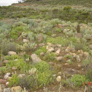 5. Overview - Loads of unmarked graves