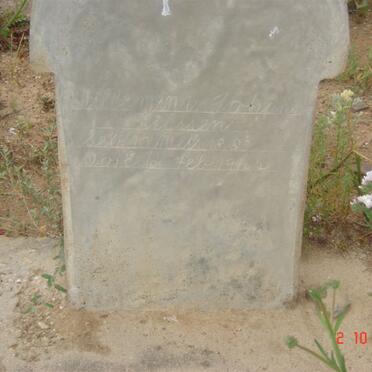 STASSEN Willemina Johanna 1883-1944