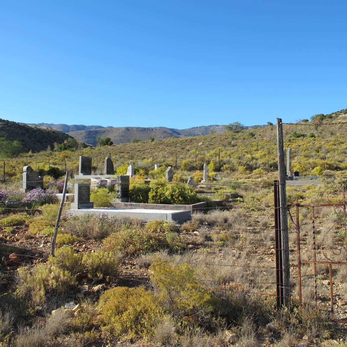 1. Overview on cemetery