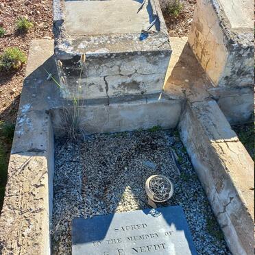 NEFDT G.F. 1856-1863