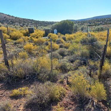 2. Overview / Oorsig