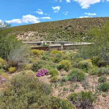 Western Cape, LAINGSBURG district, Floriskraal dam, Schurf Kopjes 185, Droëriet, farm cemetery
