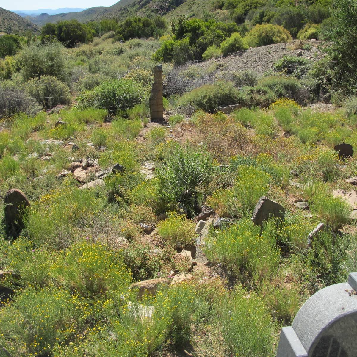 3. Overview on unmarked graves