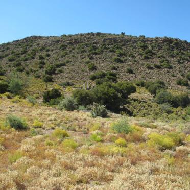 1. Overview at the cemetery