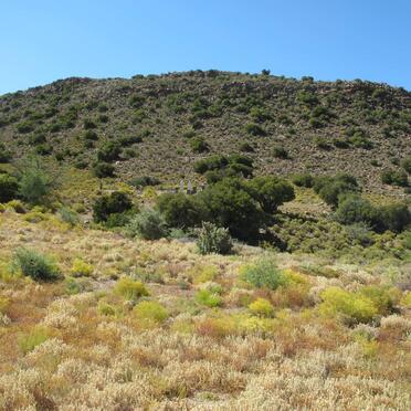 1. Overview at the cemetery