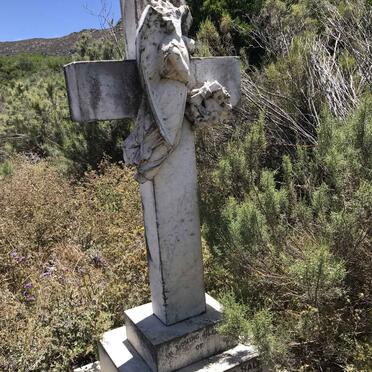 SALT Albert Edward 1863-1904 _1