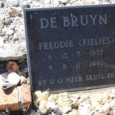 BRUYN Freddie, de 1977-1992
