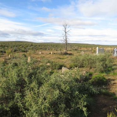 2. Oorsig / Overview