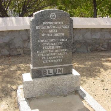 BLUM Shaie -1949