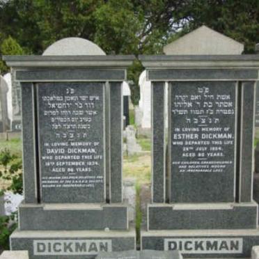 D - Vanne :: Surnames - D
