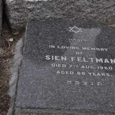 FELTMAN Sien -1960