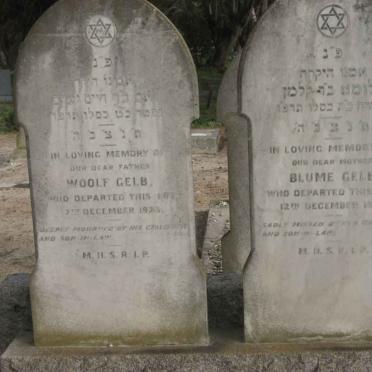GELB Woolf -1923 :: GELB Blume -1925