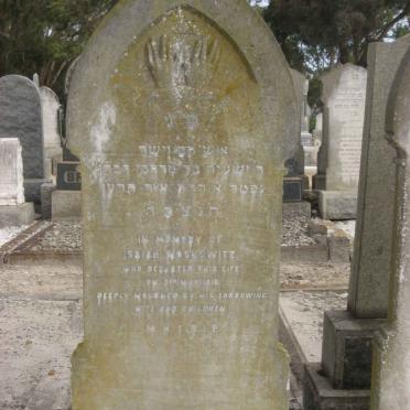 MOSKOWITZ Isaiah -1916