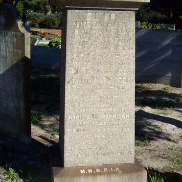 MORRISON Naphtali