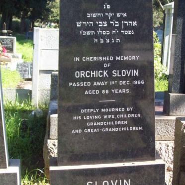 SLOVIN Orchick  -1966 