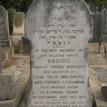 SCHECHTER Sheine -1943