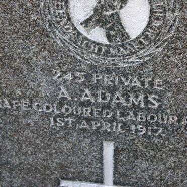 ADAMS A. -1917