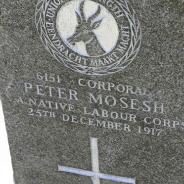 MOSESH Peter -1917
