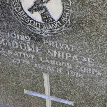 SHIPAPE Madumi -1918