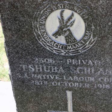 SCHLANO Tshuba -1916