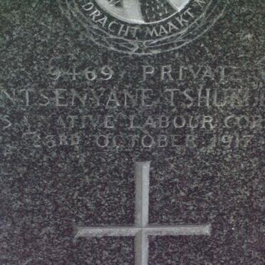TSHUKUDO Ntsenyane −1917
