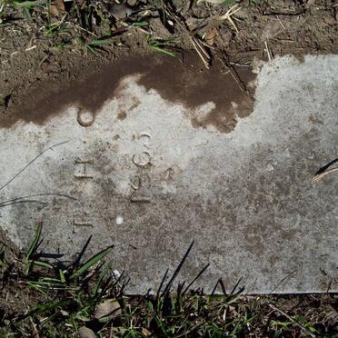 ? T.H.C -1865