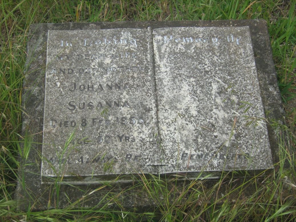 ? Johanna Susanna -1955