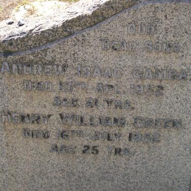 ARENDSE :: GAMBA :: GREEN