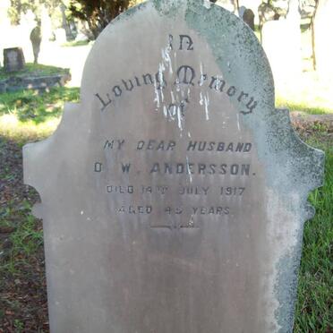 ANDERSSON D.W. -1917