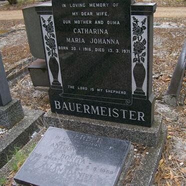 BAUERMEISTER :: GERBER  :: SWART