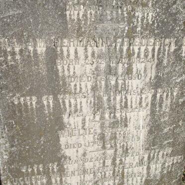 BERG William Hermann Frederick 1824-1890 :: BERG Willie  -1909