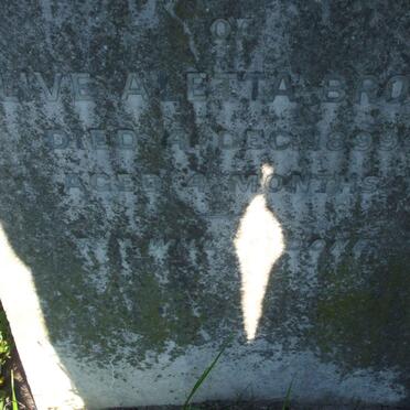 BROWN Olive Aletta -1899