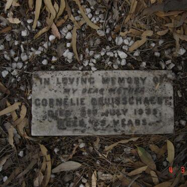 BRUISSCHAEBT Cornelie -1933