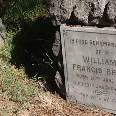 BRINK William Francis 1873-1954