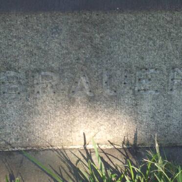 BRAUER