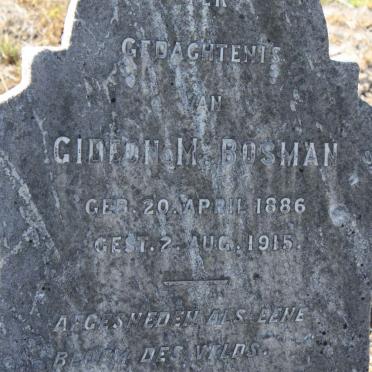 BOSMAN Gideon M. 1886-1915