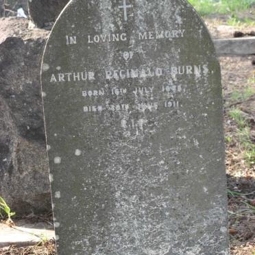 BURNS Arthur Reginald 1868-1911