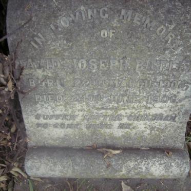 BUTLER David Joseph 1904-1906