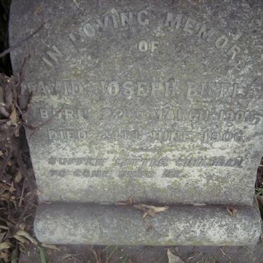 BUTLER David Joseph 1904-1906