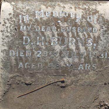 BURNS D.H. -1931
