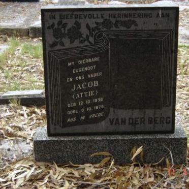 BERG Jacob, van der 1936-1975