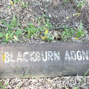 BLACKBURN Adonis
