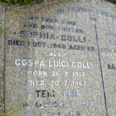 COLLI :: BRIN